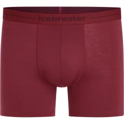 Icebreaker Herren Anatomica Boxer