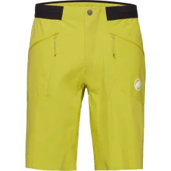 Mammut Herren Aenergy Light SO Shorts