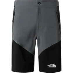 The North Face Herren Felik Slim Tapered Shorts