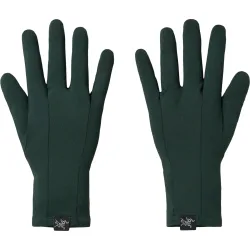Arc'teryx Rho Handschuhe