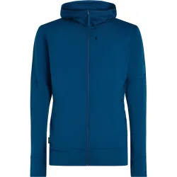 Icebreaker Herren 260 Quantum IV Hoodie Jacke