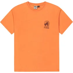 Picture Herren Picturide T-Shirt