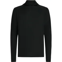 Icebreaker Herren 150 MerinoFine Ace Hoodie