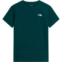 The North Face Herren Evolution Simple Dome T-Shirt