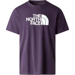 The North Face Herren Evolution Half Dome T-Shirt