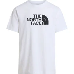 The North Face Herren Evolution Half Dome T-Shirt