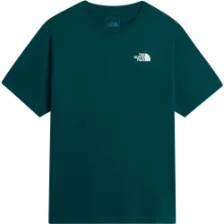 The North Face Herren Evolution Box Nse T-Shirt