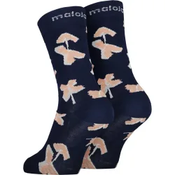 Maloja ErminiaM. Socken