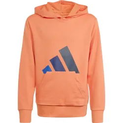 adidas Kinder Essentials Hoodie