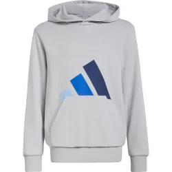 adidas Kinder Essentials Hoodie