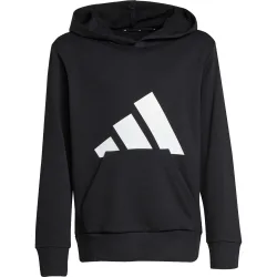adidas Kinder Essentials Hoodie