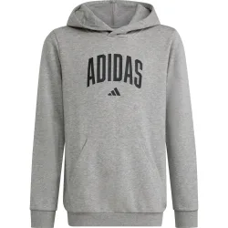 adidas Kinder Collegiate Graphic Hoodie