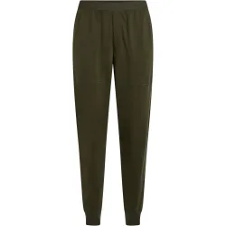 Icebreaker Herren 300 RealFleece Descender Jogger Hose