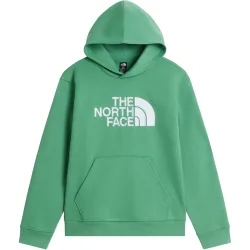 The North Face Kinder Teen Essential Drew Peak Hoodie