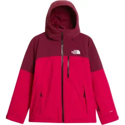 The North Face Damen Freedom Insulated Jacke
