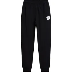 The North Face Herren Evo Box Half Dome Jogger Hose