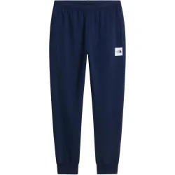 The North Face Herren Evo Box Half Dome Jogger Hose