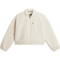 The North Face Damen Extreme Pile 2 Jacke