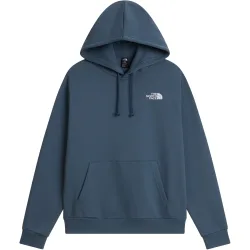 The North Face Herren Evolution Box Nse Hoodie