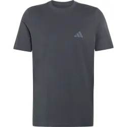 adidas Terrex Herren Mountain Graphic T-Shirt