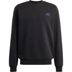 adidas Terrex Herren Snow Sport Graphic Pullover