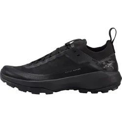 Arc'teryx Herren Vertex Alpine GTX Schuhe