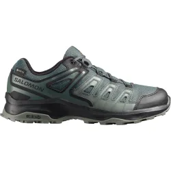 Salomon Herren Extegra GTX Schuhe