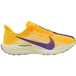 Nike Herren Pegasus Plus Schuhe