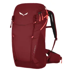 Salewa Alp Trainer 20 Wanderrucksack
