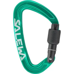 Salewa Ortles Screw Karabiner