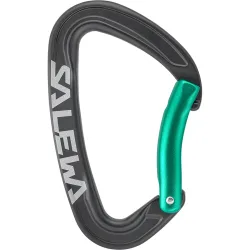 Salewa Ortles Bent Karabiner