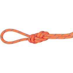 Mammut 7.5 Alpine Sender Dry 70m Kletterseil