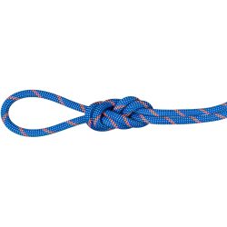 Mammut 7.5 Alpine Sender Dry 70m Kletterseil