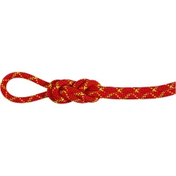 Mammut 8.0 Alpine Core Protect Dry Kletterseil