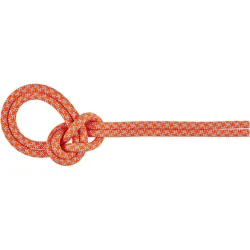 Mammut 8.7 Crag Sender Dry Kletterseil