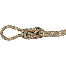 Mammut 9.5 Gym Classic Kletterseil