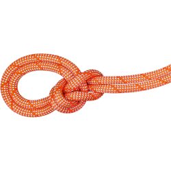 Mammut 9.8 Crag Classic Kletterseil