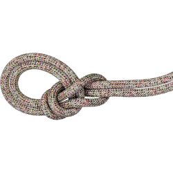 Mammut 9.5 Crag We Care Classic Kletterseil