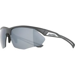 Alpina Nylos HR Sportbrille