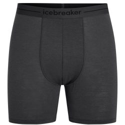 Icebreaker Herren Anatomica Long Boxer
