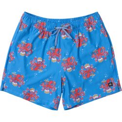 Saxx Underwear Herren Oh Buoy 5 Badeshorts