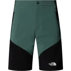 The North Face Herren Felik Slim Tapered Shorts