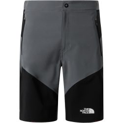 The North Face Herren Felik Slim Tapered Shorts