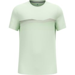 Odlo F-Dry Ridgeline T-Shirt für Herren - Wandern - grün, S