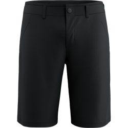 Salewa Herren Fanes Light Shorts