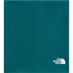 The North Face Dipsea Schlauchtuch