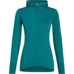 Icebreaker Damen 200 Realfleece Descender Hoodie Jacke
