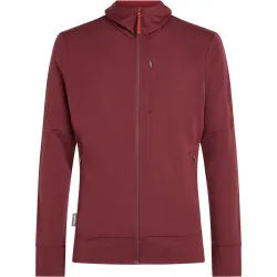 Icebreaker Herren 260 Quantum IV Hoodie Jacke