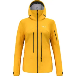 Salewa Damen Ortles GTX Pro Jacke
