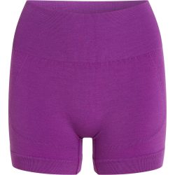 Icebreaker Damen Seamless Active 4